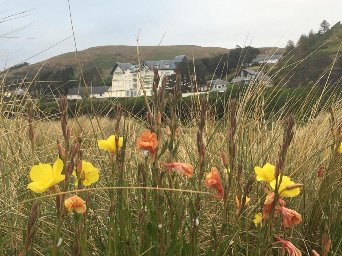 Beautiful Aberdovey Seafront Apartment 2 Aberdyfi Dış mekan fotoğraf